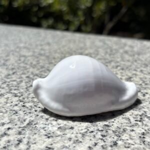 Pule'Oto White 10Pack
